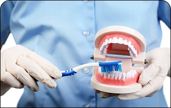 Dentist using a dental model to demonstrate proper brushing techniques for preventive care.